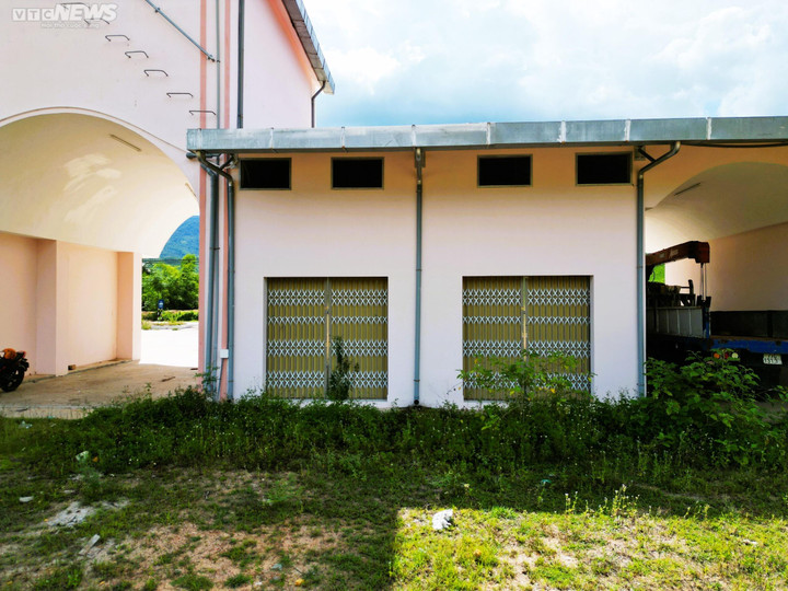 Xung quanh công trình cỏ mọc um tùm, trở thành nơi người dân thả bò ăn cỏ.