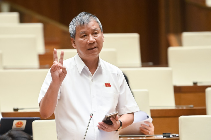Đại biểu Nguyễn Anh Trí trong phiên chất vấn chiều 15/8. (Ảnh: Quochoi.vn).