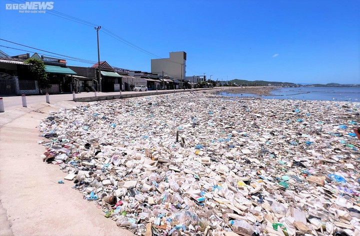 "Biển" rác tại đầm nước mặn Sa Huỳnh.