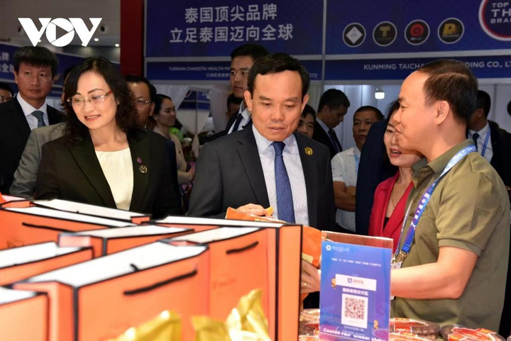 Phó Thủ tướng Trần Lưu Quang dự Lễ Khai mạc Hội chợ Trung Quốc-Nam Á lần thứ 7 - 7