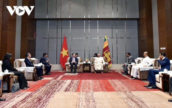 Phó Thủ tướng Trần Lưu Quang tại cuộc gặp Thủ tướng Sri Lanka.