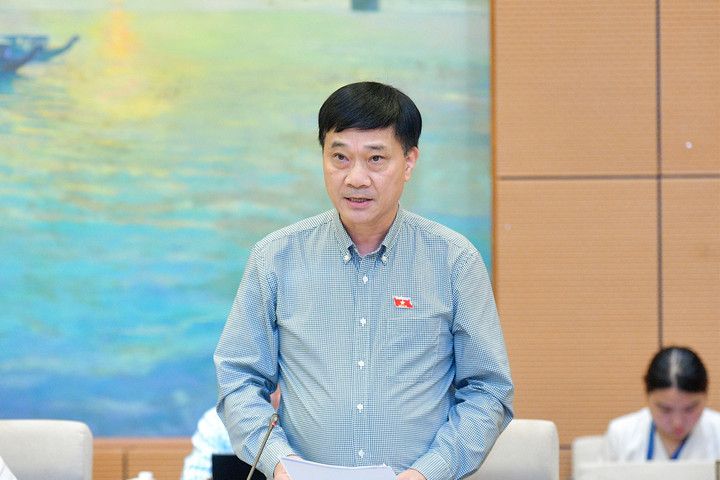 Chủ nhiệm Uỷ ban Kinh tế Vũ Hồng Thanh.