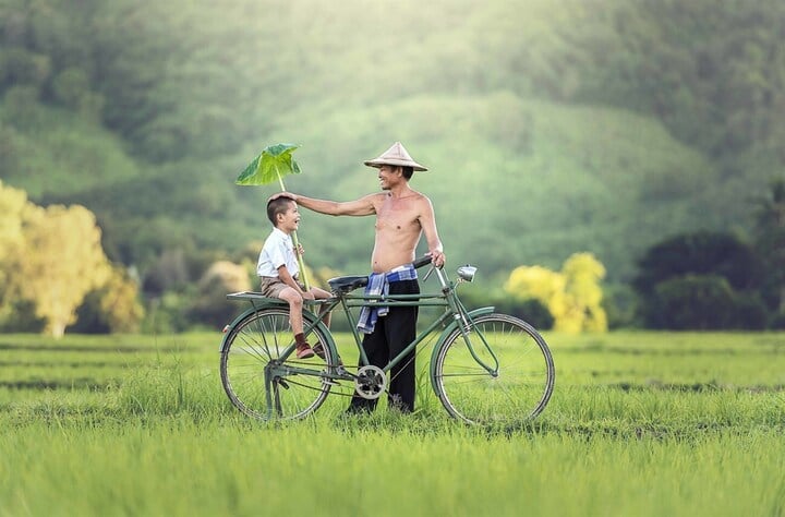 Hãy gửi lời chúc lễ Vu lan dành cho cha.