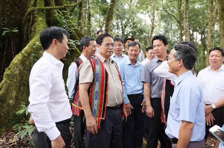 Thủ tướng Phạm Minh Chính khảo sát vườn sâm Ngọc Linh ở xã Măng Ri, huyện Tu Mơ Rông, tỉnh Kon Tum. (Ảnh: Dương Giang/TTXVN)
