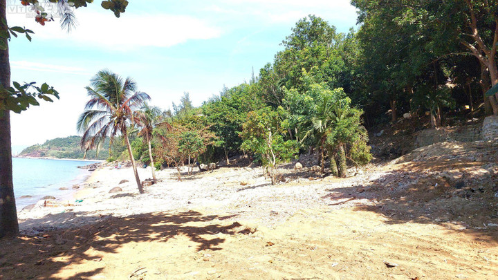 Những công trình bị cưỡng chế, trả lại nguyên trạng sẽ được UBND quận Sơn Trà tình toán phủ xanh bằng cách trồng các loại cây bản địa.