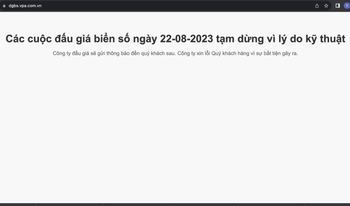 Trang web đấu giá tạm dừng hoạt động do trục trặc kỹ thuật.