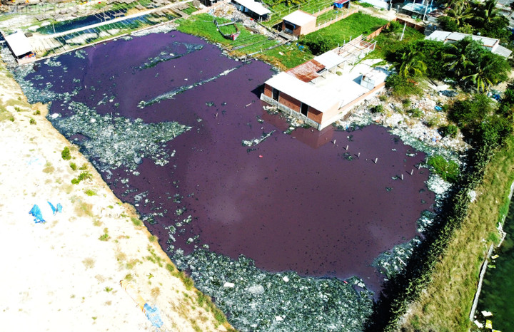 Xung quanh các cơ sở chế biến mực xà, nơi nào có nước thì nơi ấy đổi màu và ngập ngụa rác thải.