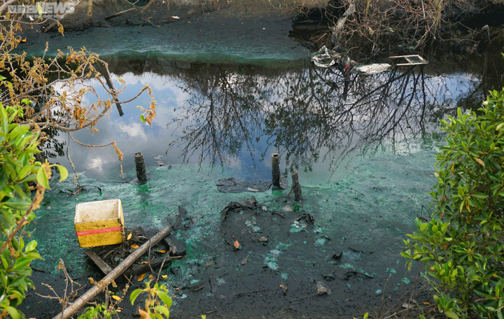 Lượng nước thải xả ra không có đường tiêu thoát, ngày qua ngày bốc hơi, đông đặc gây mùi hôi thối, ô nhiễm "bức tử" môi trường.