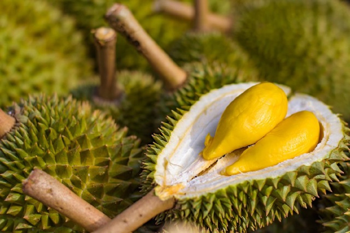 quả sầu riêng