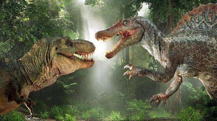 Bí ẩn đàng sau hóa thạch khủng long thời tiền sử được hé mở khiến cho quý khách không thể tinh được (Nguồn Sohu)