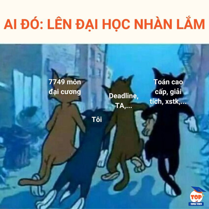 Học đại học rảnh rỗi, nhàn nhã lắm. Nếu bạn không tin thì hãy trải nghiệm để biết cảm giác như bức hình phía trên. (Ảnh: Top SV)