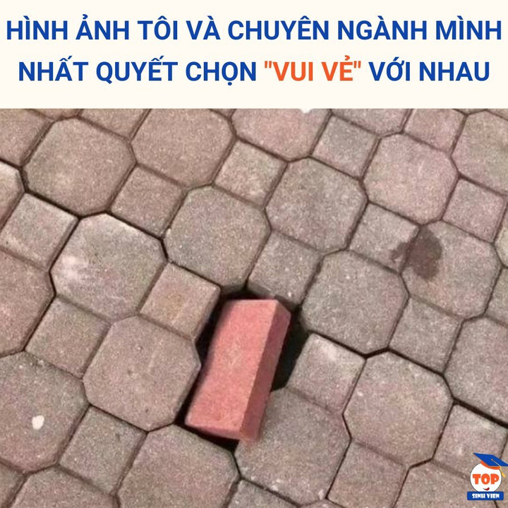 "Tôi và chuyên ngành đã chọn 'vui vẻ', hợp ý nhau đến lạ kỳ". (Ảnh: Top sinh viên)