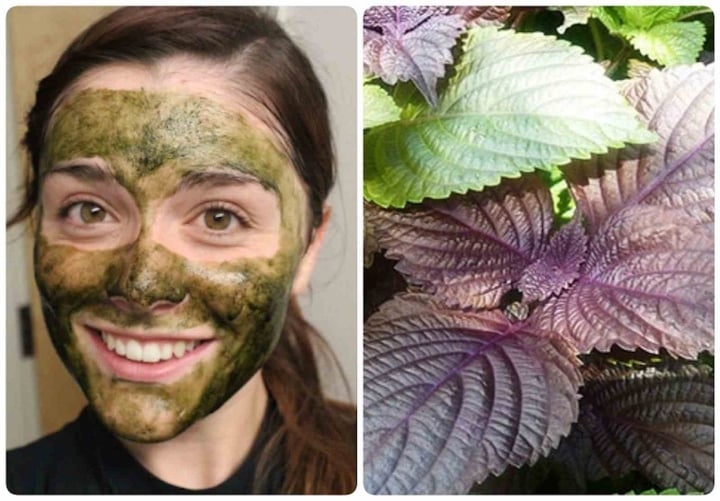 5 loại mặt nạ làm từ rau trong vườn giúp làn da đẹp rạng rỡ - 5