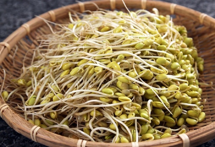 Giá đỗ là loại rau mầm rất phổ biến tại Việt Nam.