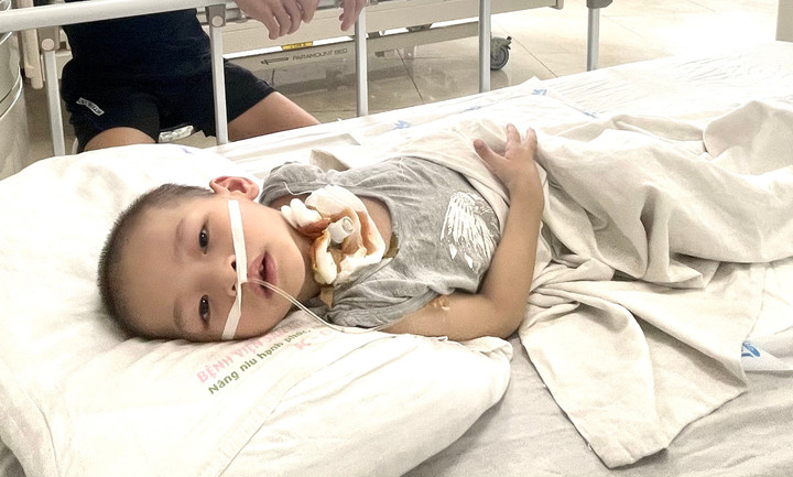 Bé Trần Quốc Hiệu năm nay 5 tuổi.