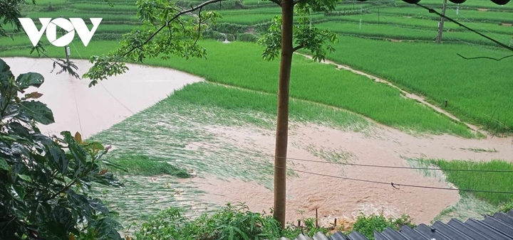Mưa lớn cuốn trôi hoa màu của người dân xã Chiềng Bằng, huyện Quỳnh Nhai.