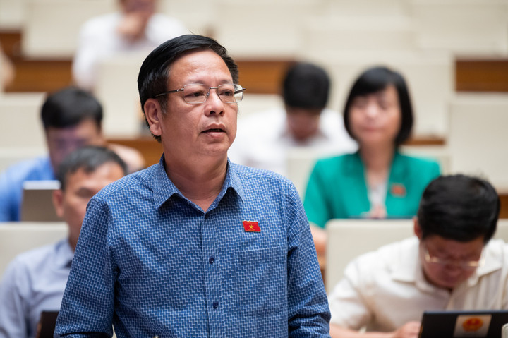 Đại biểu Nguyễn Trường Giang. (Ảnh: Quochoi.vn).