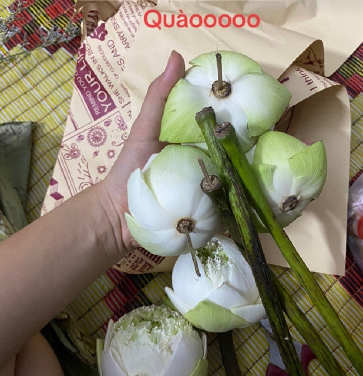 Và đây là những gì cô gái nhìn thấy khi mở bó hoa ra cắm. (Ảnh: Vanhlee)