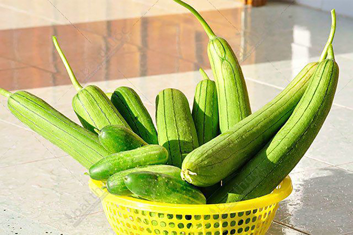 Để chọn mướp thơm và ngon còn cần để ý đến hình dáng của quả mướp.