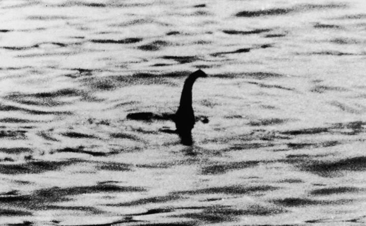 Một ảnh chụp được cho là quái vật ở hồ Loch Ness. (Ảnh: NPR)
