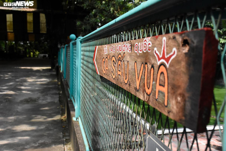 Là người có công đầu trong việc đưa cá sấu Xiêm từ Nam ra ngoài Bắc chăm sóc, nuôi dưỡng và nhân giống, ông Tuấn còn được mọi người biết đến với biệt danh Tuấn "cá sấu”.