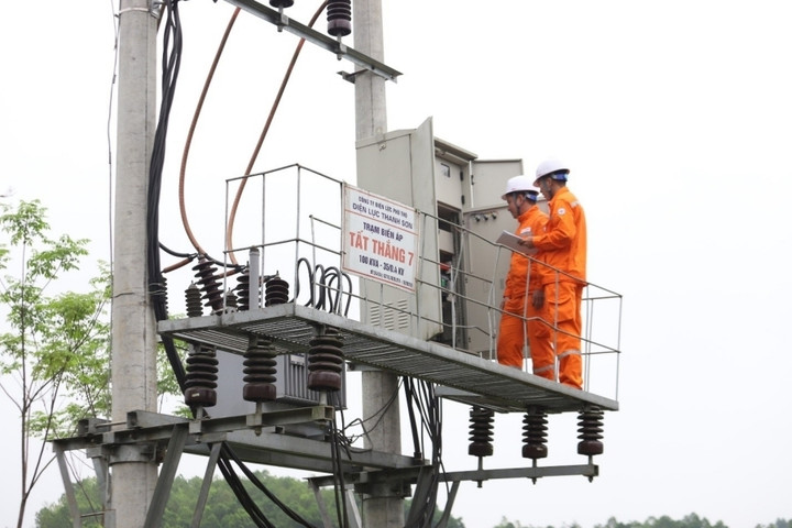 Công ty Điện lực Phú Thọ kiểm tra lưới điện.