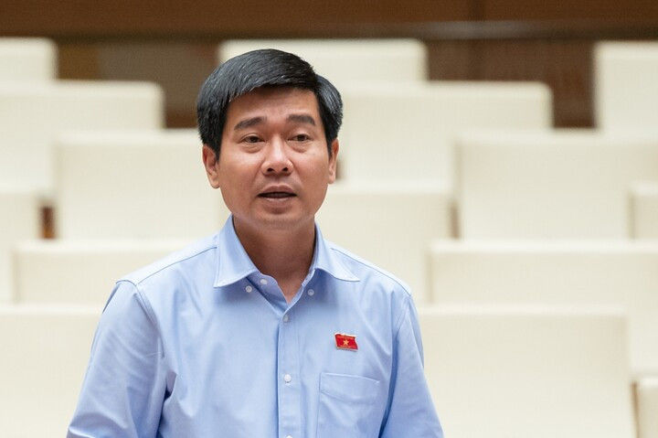 Đại biểu Lê Thanh Hoàn.