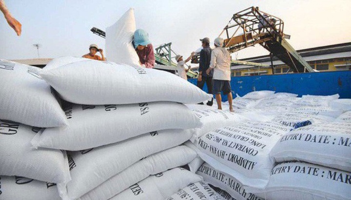 Giá gạo xuất khẩu của Việt Nam đang ở mức cao nhất thế giới.