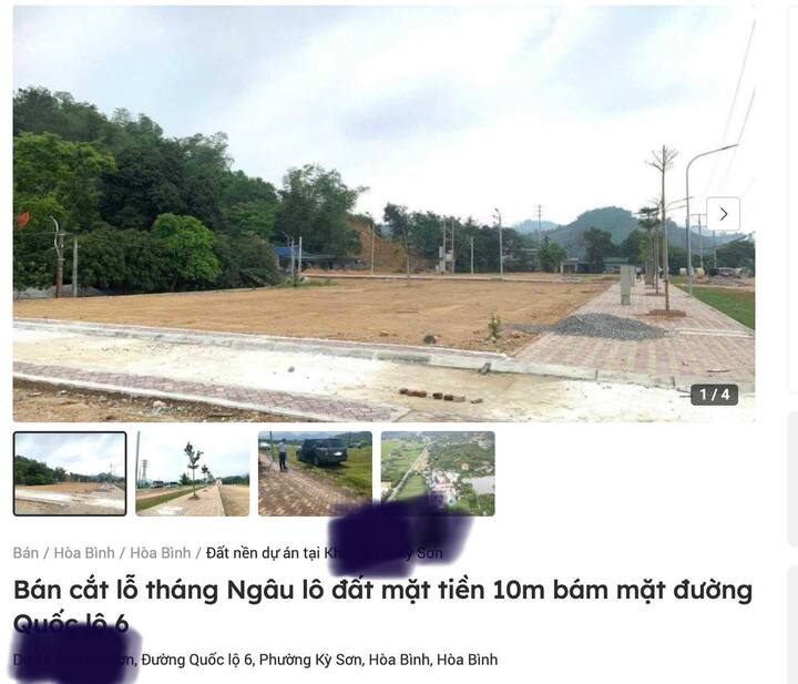 Nhiều thông tin bán nhà cắt lỗ trong tháng Ngâu để hút khách mua. (Ảnh chụp màn hình)