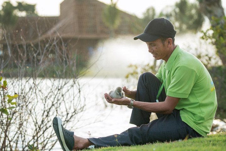 Nghỉ lễ 2/9, trẻ em thành Vinh đổ về Eco Central Park ngắm thiên nga mới sinh - 4