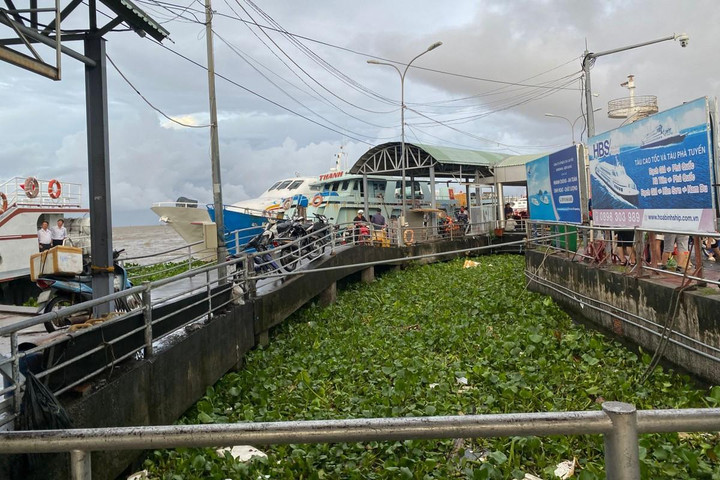 Sáng 2/9, ông Võ Minh Tuấn – Phó Giám đốc Cảng vụ Hàng hải tỉnh Kiên Giang cho biết, sáng nay trên vùng biển Tây Nam có gió mạnh, sóng to.