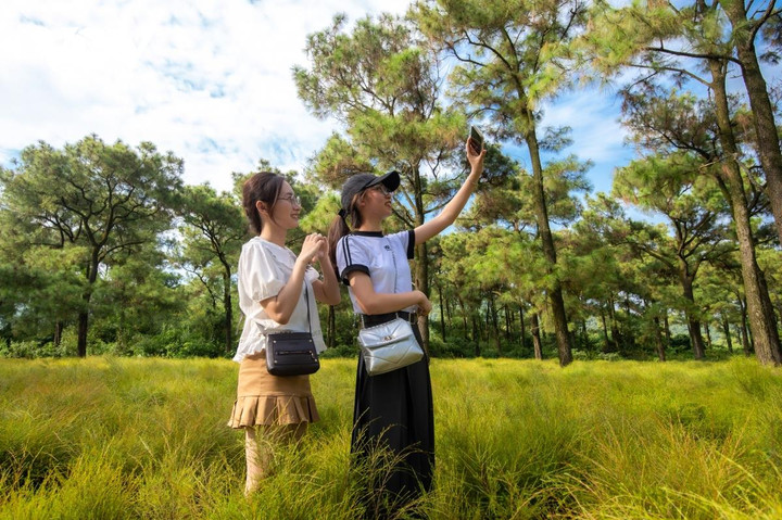 Check-in cánh đồng rễ đẹp mơ màng ở Chí Linh, Hải Dương - 15