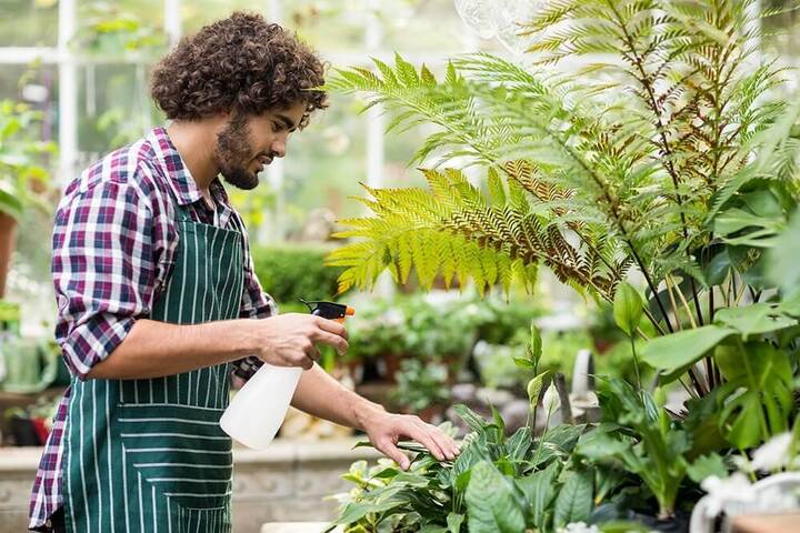 Giúp rễ cây phát triển khỏe mạnh là một công dụng bất ngờ của nước oxy già. (Ảnh: Bulk Peroxide)