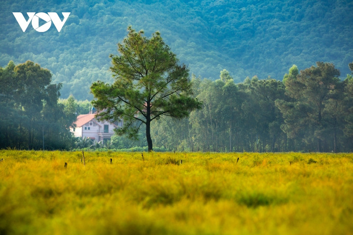 Trải qua thời gian hàng trăm năm, rừng thông, cánh đồng cây rễ phát triển đã tạo cho Côn Sơn có một cảnh sắc nên thơ tuyệt đẹp.g