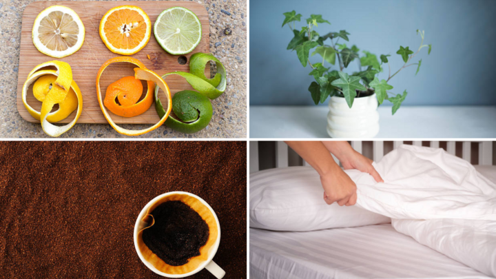 Bạn cần biết cách khử mùi thuốc lá trong phòng kín để giảm cảm giác khó chịu, mệt mỏi. (Ảnh: Istock)