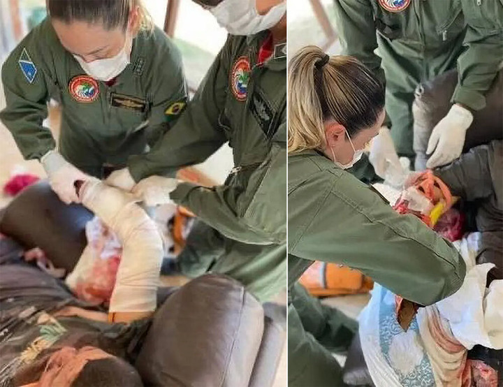 Người đàn ông được đưa đi cấp cứu sau khi bị con báo tấn công.