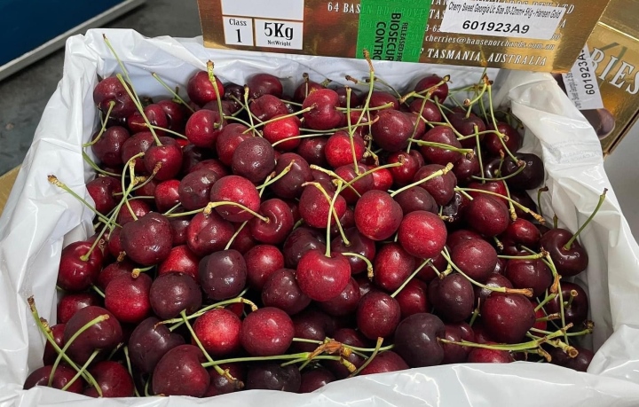 Trước đó, giá Cherry Mỹ tại Việt Nam cũng xuống mức thấp kỷ lục, chỉ khoảng hơn 200.000 đồng/kg. Lý do loại quả “nhà giàu