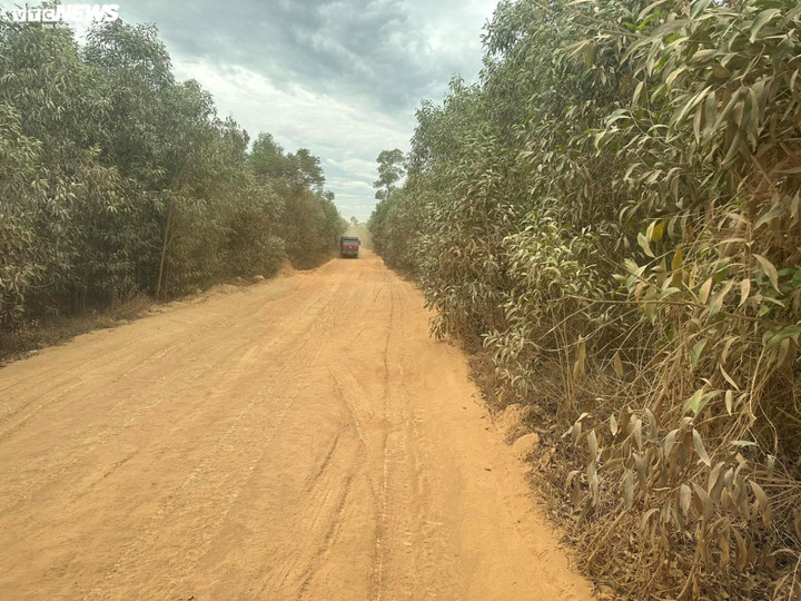 Hoạt động khai thác đất sai phép của Công ty Cổ phần Lâm nghiệp 1-5 được thực hiện công khai, suốt thời gian dài khiến người dân khốn khổ vì bụi nhưng chính quyền địa phương và ngành chức năng lại nói "không biết" cho đến khi VTC News phản ánh thì mới vào cuộc xử lý.