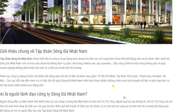 Những lời giới thiệu "có cánh" về Tập đoàn Sông Đà Nhật Nam và Vũ Thị Thúy. (Ảnh chụp màn hình)