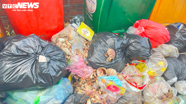 Thùng tập kết rác không đủ sức chứa, rác vứt bừa bên ngoài.