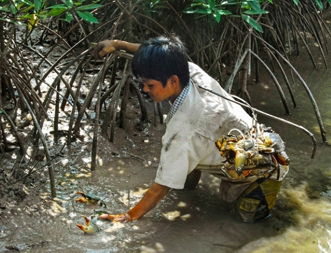 Tỉnh duy nhất ở nước ta có ba mặt giáp biển? - 6
