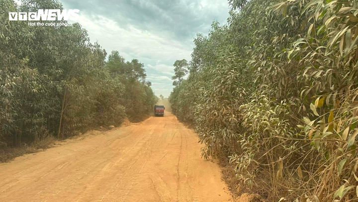 Khi UBND huyện Phong Điền quyết định cấp kinh phí xây dựng, mở rộng tuyến đường thì lại phải tạm dừng do ảnh hưởng từ hoạt động vận chuyển khai thác đất từ mỏ của Công ty Cổ phần Lâm nghiệp 1-5. (Ảnh: Nguyễn Vương)