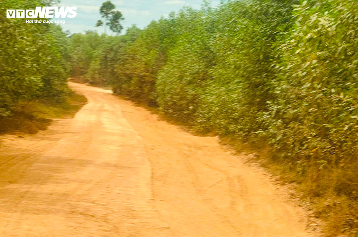 Tuyến đường vốn là con đường bê tông khá bằng phẳng và người dân vẫn thường qua lại thường xuyên nhưng sau đó bị hỏng hóc nghiêm trọng. (Ảnh: Nguyễn Vương)