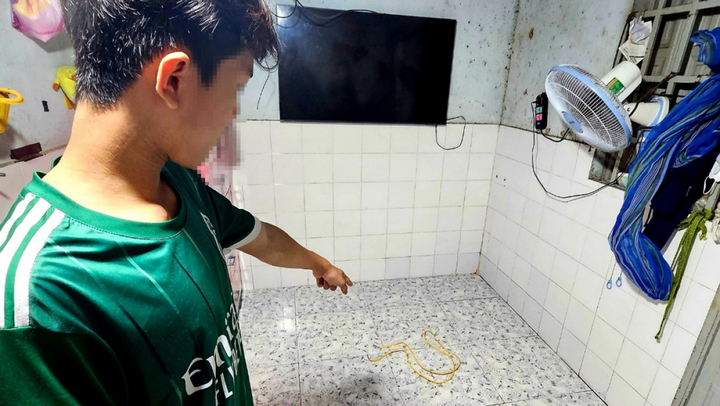 Con trai kể về cảnh mẹ bị bạo hành. (Ảnh: ĐC)