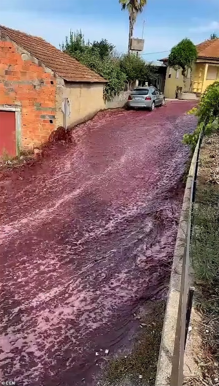 Lượng rượu chát rất có thể lấp giàn giụa một hồ bơi Olympic chảy qua quýt những trên phố São Lourenco bởi Bairro ở Bồ Đào Nha.