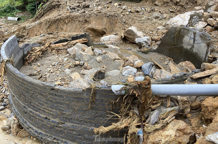 Lũ ống cũng cuốn trôi, làm hư hỏng toàn bộ 61 trại cá hồi cùng 610 ao cá tại xã Liên Minh. Thiệt hại ước tính khoảng 250 tỷ đồng.