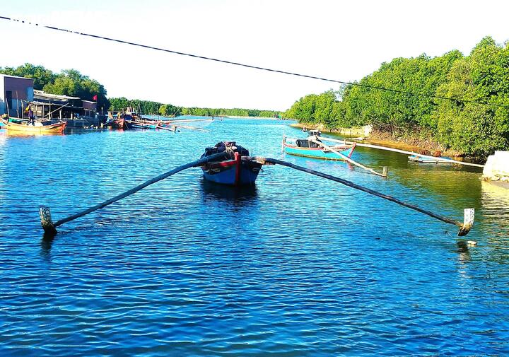 Tàu gắn gọng xiếc (thường gọi là xung điện, xiếc máy) ngang nhiên giơ cao bộ gọng xiếc giữa ban ngày.