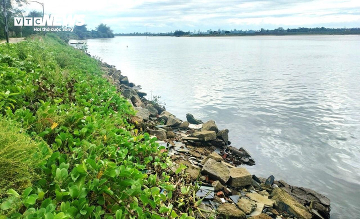 Một đoạn kè Thanh Nam Đông ở phường Cẩm Nam.