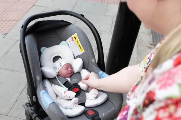 Người qua đường thường khen các "em bé" rất dễ thương. (Ảnh: NYP)