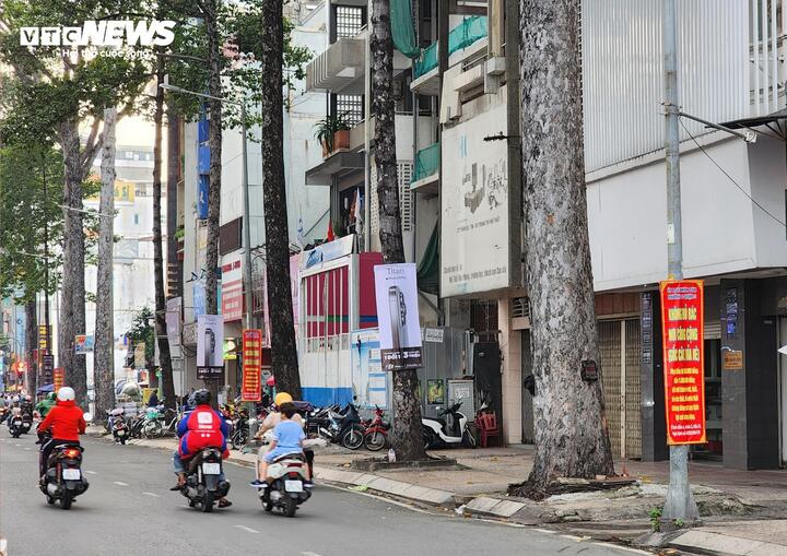 Thảm cỏ quấn quanh trụ đèn trên đường Trần Hưng Đạo đã được tháo gỡ.